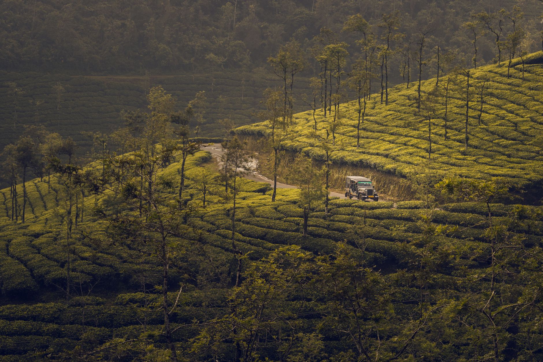 Parakkat Nature Resort Munnar 5-Star Luxury Getaway  — India